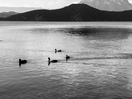 Casino Midas Mobilapp